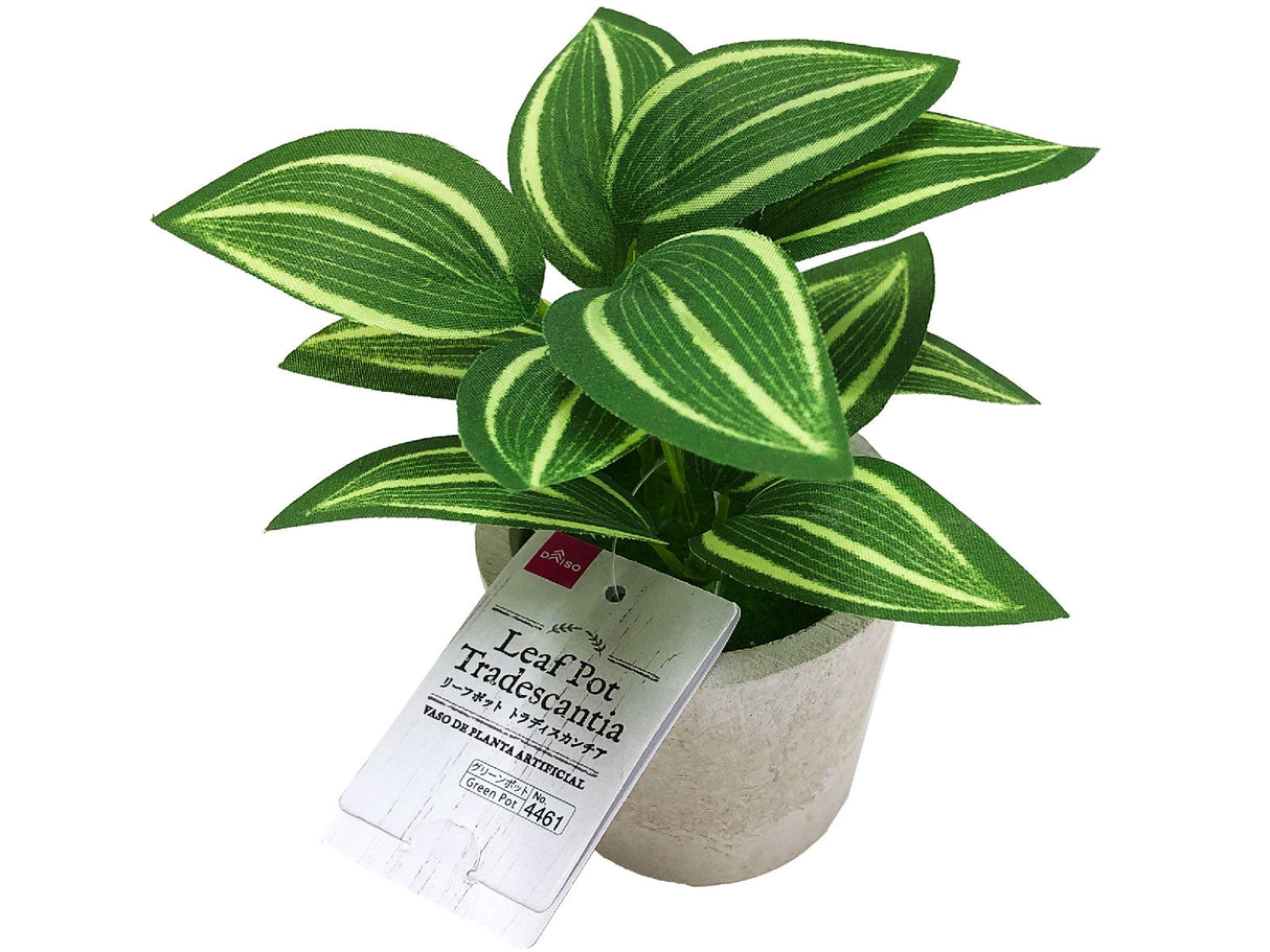 Leaf Pot Tradescantia