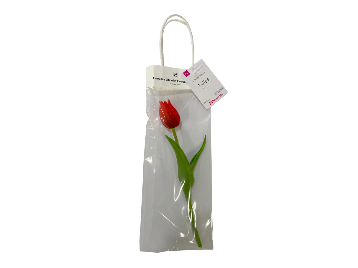 TULIPS(Red)