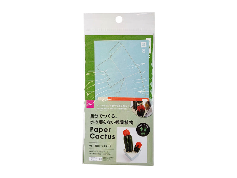 Paper Cactus Thin C