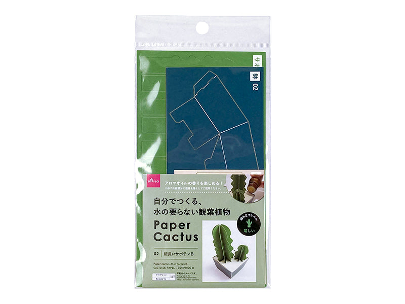 Paper cactus-Thin cactus B-