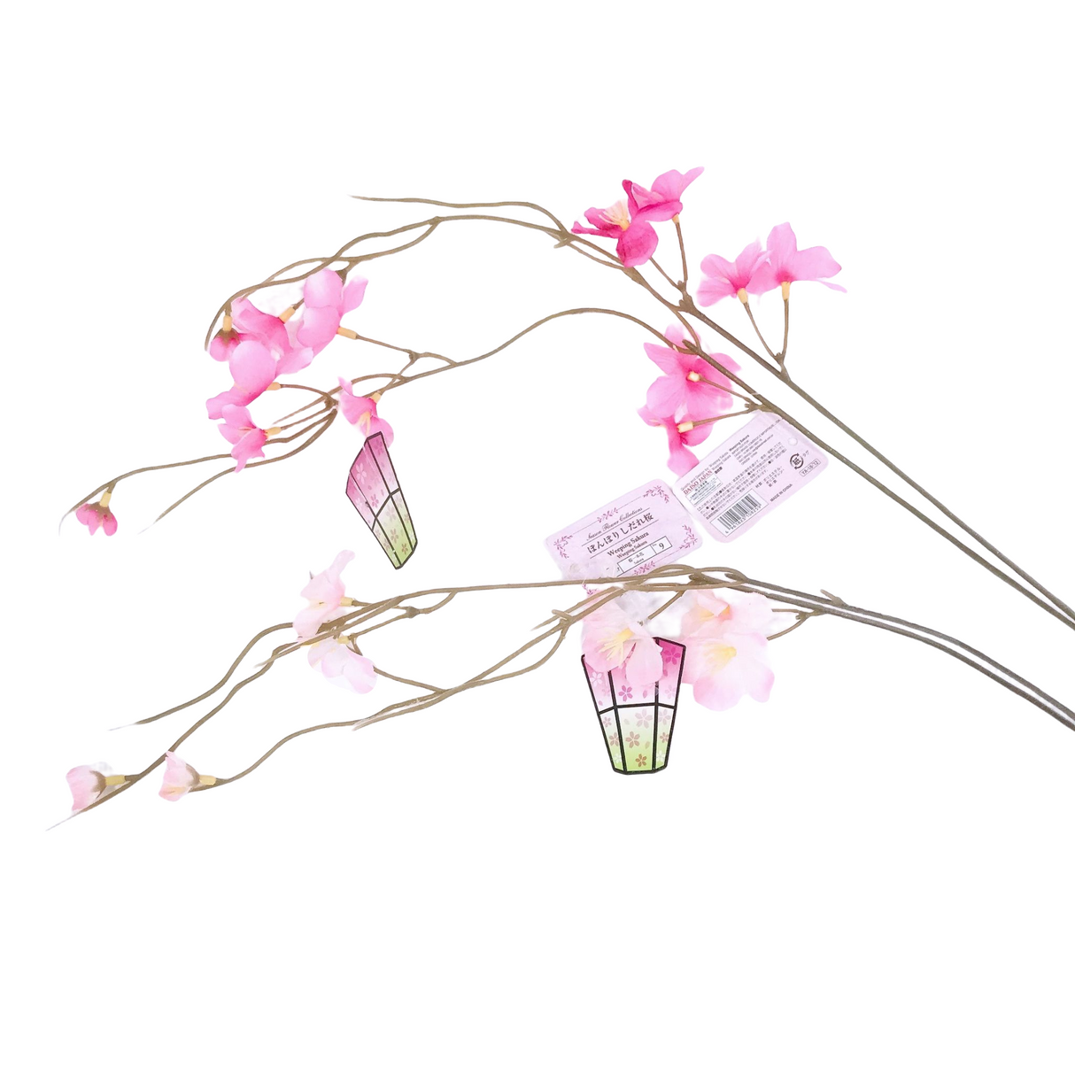 Weeping Sakura